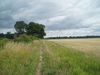 Heading south towards Sopley.