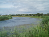 The River Avon on Winkton Common.