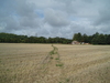 The path leading northwestwards towards the A338.