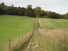 The Clarendon Way near Ashley Down.