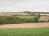 The road leading westwards towards Middle Winterslow.