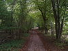 The track leading westwards towards Middle Winterslow.