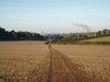 Looking back towards Salisbury from the climb up towards Clarendon Palace.