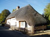 A cottage in Pitton.