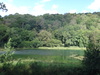 A lake in Nettle Dale.