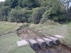 Stepping stones over the stream in Nettle Dale.