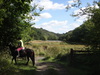 A view down Nettle Dale.