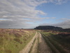 Looking back tyowards Boltby Forest. 