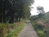 The path through Clain Wood.