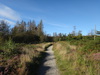 The path heading west through the Coate Moor Woods.