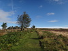 The climb onto Great Ayton Moor.