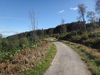 Following the trail east through Guisborough Woods.