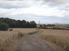 Following Airy Hill Lane northeastwards.