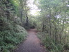 Following the path through the nature reserve towards Saltburn.