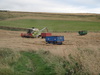 A combine working late.