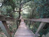 The descent down to the old railway line to the north of Sandsend.