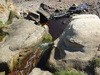 Hayburn Beck at Hayburn Wyke.