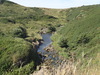 Scalby Beck.