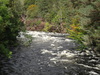 The River Akraig.