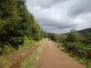 Following the track northeastwards along the northern shore of Loch Lochy.