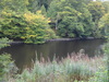 Following the canal northeastwards past Laggan.