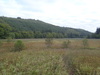 Marshland at the south end of Loch Oich.