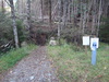 Fallen trees at the bottom of the diversion in Invermoriston.