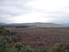 Moorland beside the road.