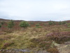 The track heading north across the moorland past Corryfoyness.