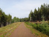 Following a track northwestwards through the woodland towards Achpopuli.