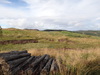 Moorland beside the track.