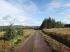 Heading north along a track through the forest.