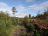 The path heading north past Caiplich Farm.