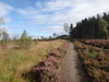 The path heading north past Caiplich Farm.