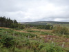 Following the road north from Tomachoin.