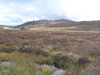 A view across the moorland.