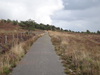 Following the old drove road northeastwards.