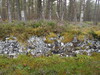 An old stone wall beside the path.