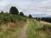 The path leading down towards the old hospital at Leachkin.