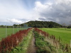 The path approaching the Caledonian Canal.