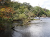 The River Ness.