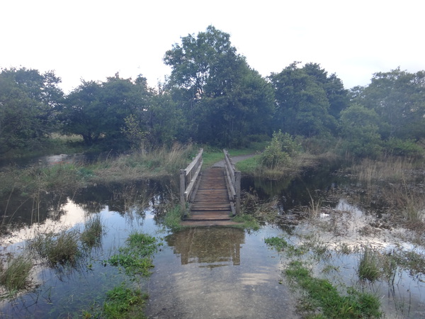 A flooded footbridge.