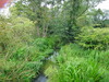 The River Gwash.