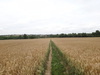 Descending from Easton on the Hill towards the A1(T).