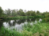 The first glimpses of the River Nene.