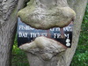 A tree swallowing a sign.
