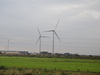 Wind turbines on the other side of the river.