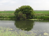 Heading east along the River Nene (Old Course).