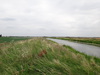 Heading east along the River Nene (Old Course).