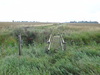 A rickety footbridge on the path heading east from Well Fen Farm.